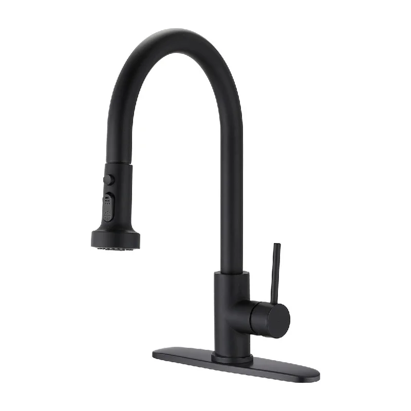 VANITYFAIR Stainless Steel Pull Down Kitchen Faucet with Sprayer