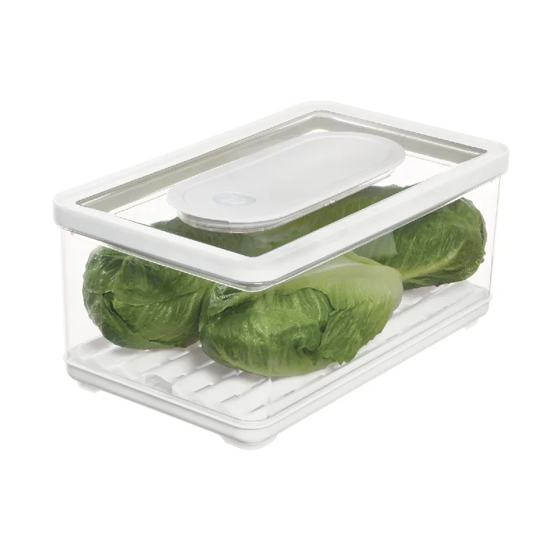 iDesign iDFresh BPA-Free Recycled Plastic Produce Storage Bin, Large